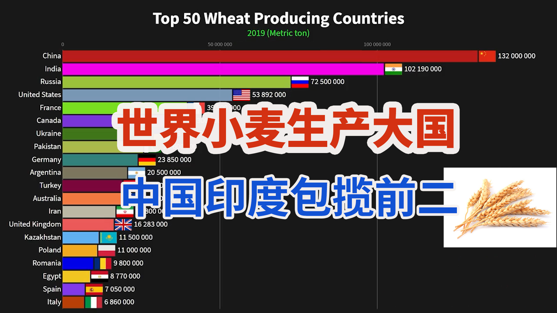 世界小麦生产大国：中国印度包揽前二！